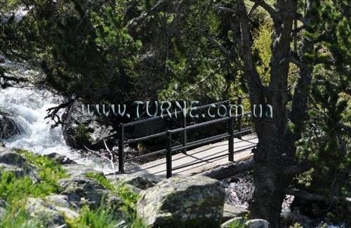 Фотографія Coma 3*