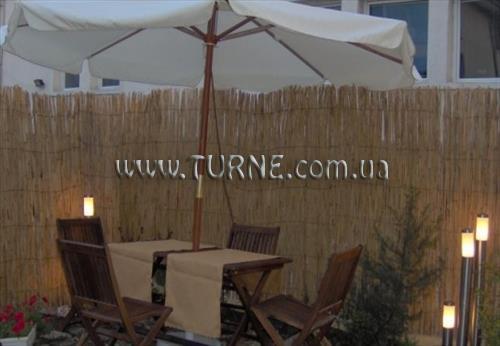 Фотографія Ines 3*