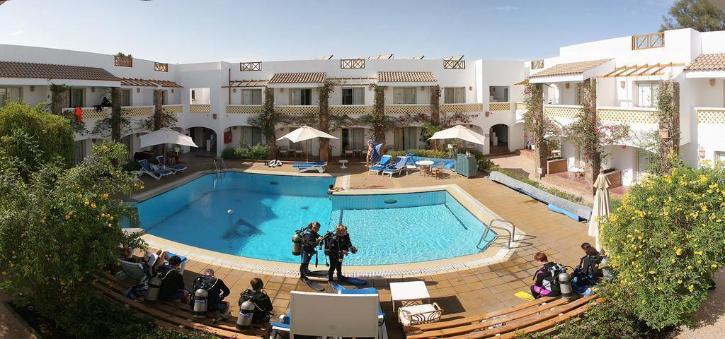 Картинка Camel Dive Club & Hotel 4*