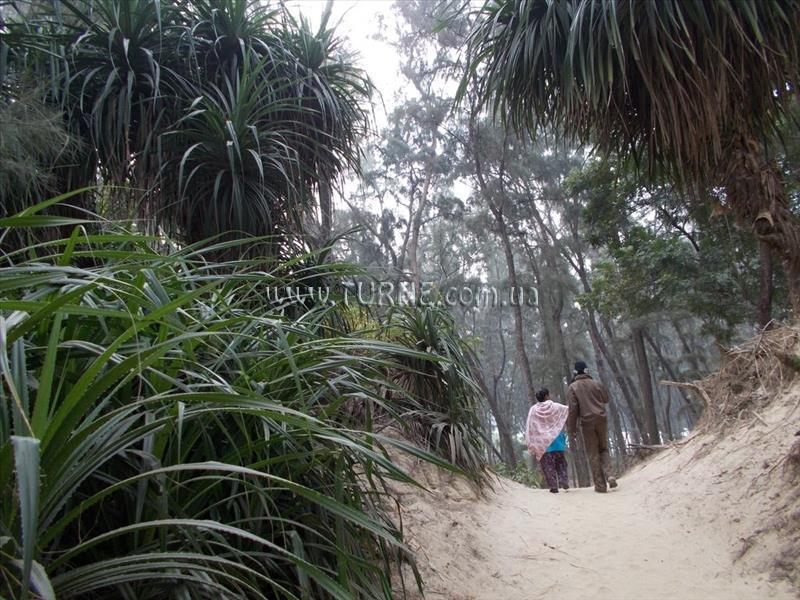 Obraz Morjim Laxmi Resort 2*