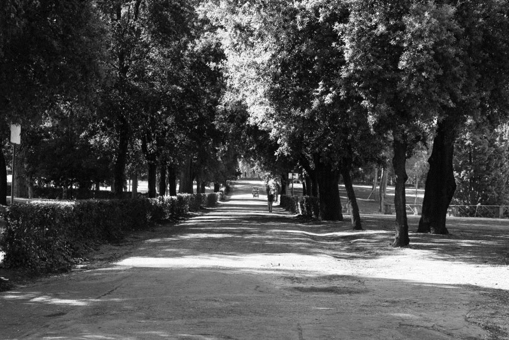 Картинка Priscilla 3*