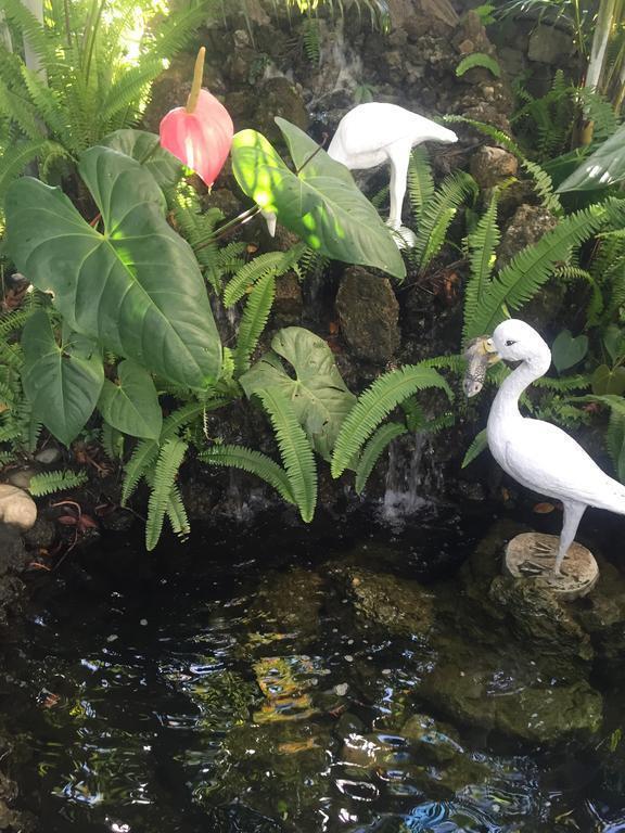 Зображення The Silver Oaks Inn 3*