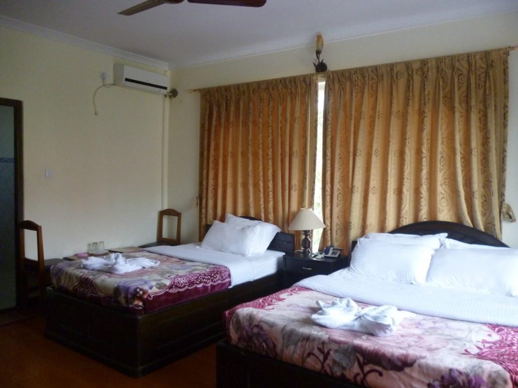 Зображення Bougainvillea 3*