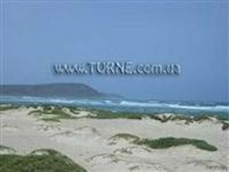 Поиск и подбор туров